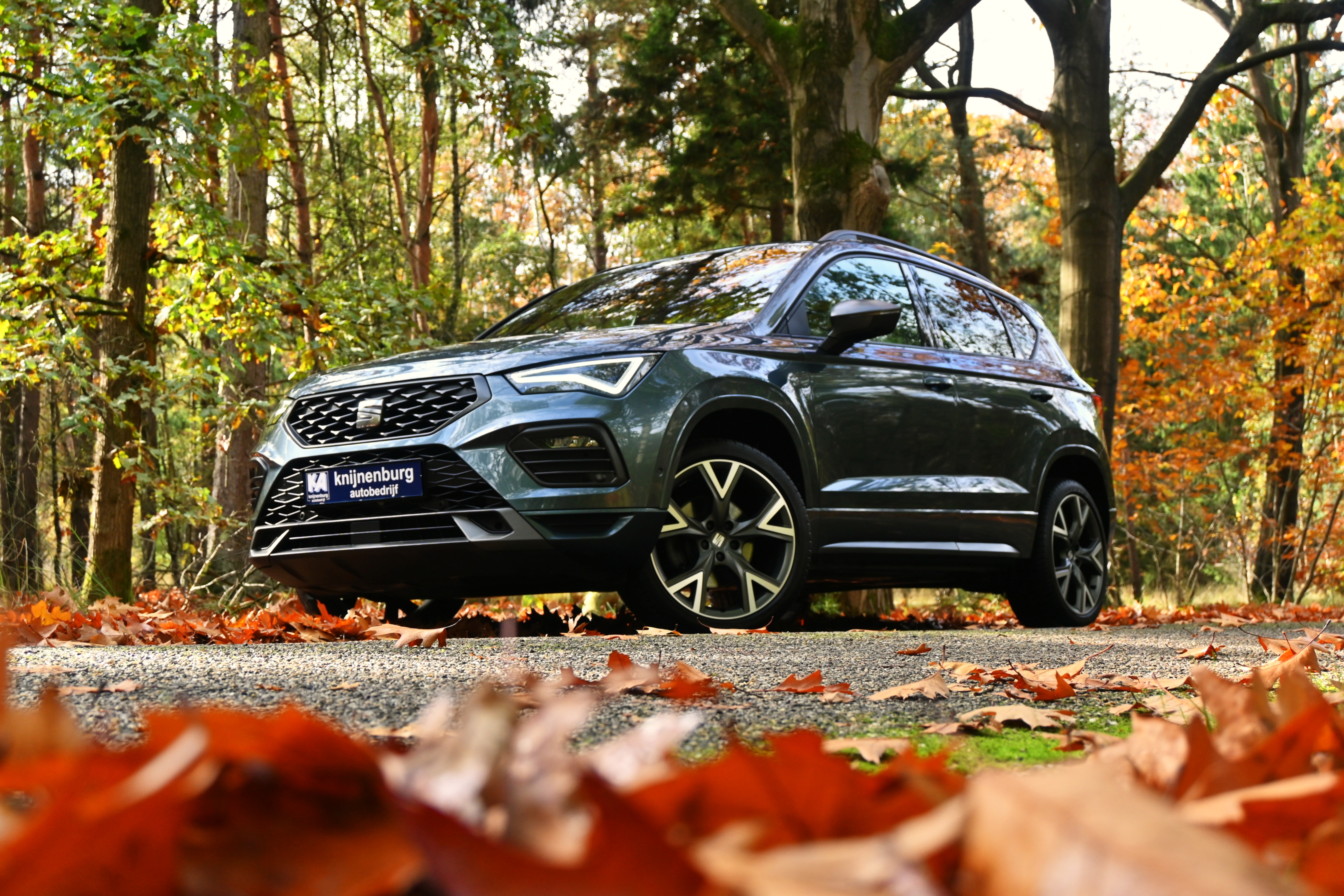 gallery_images_14_12_17621591001651088455