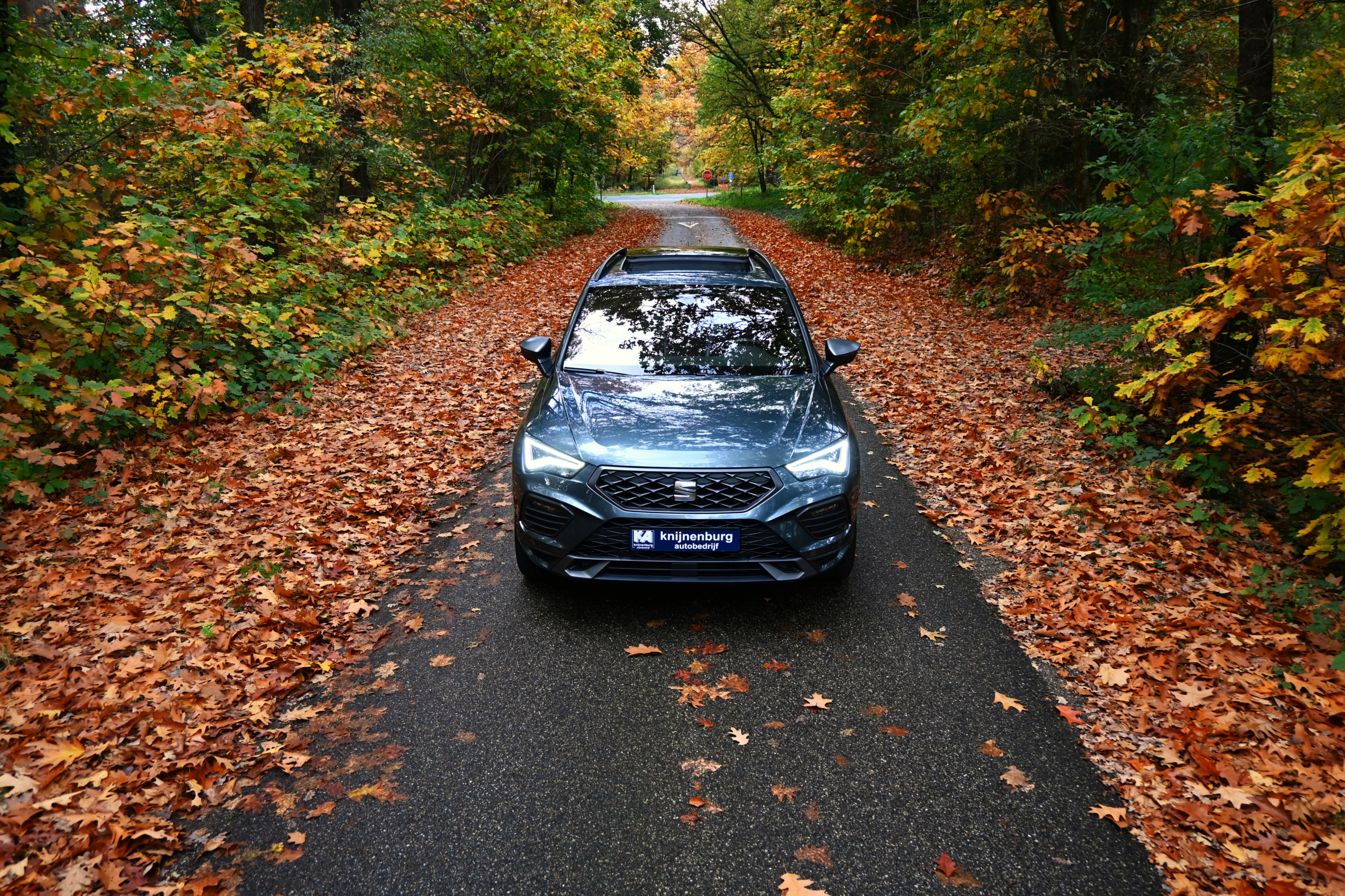 gallery_images_14_17_17740044221927116588