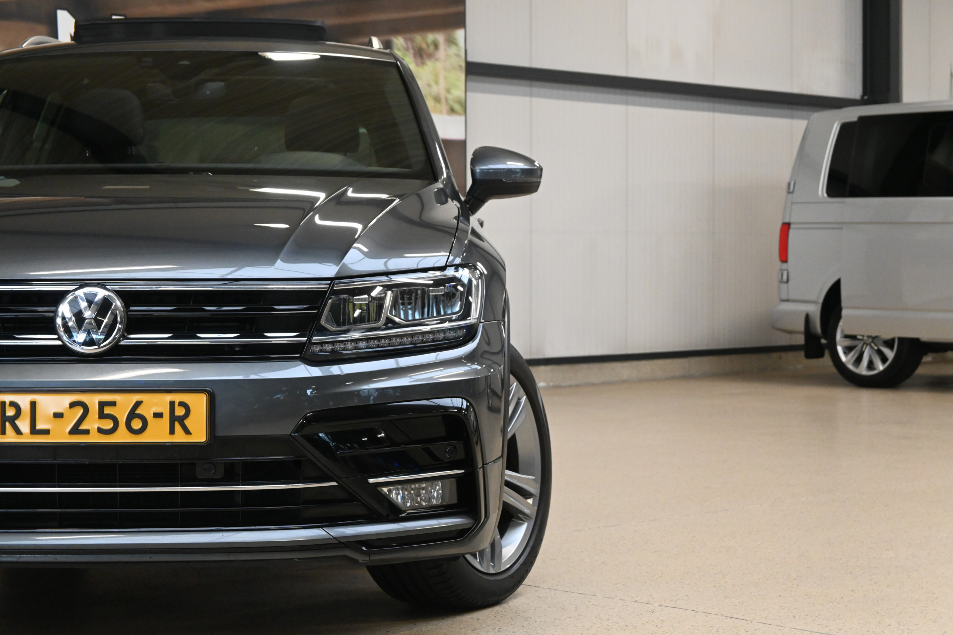 53640396-2.jpg