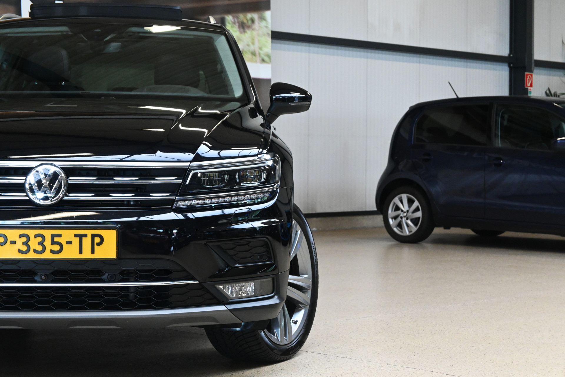56389526-2.jpg