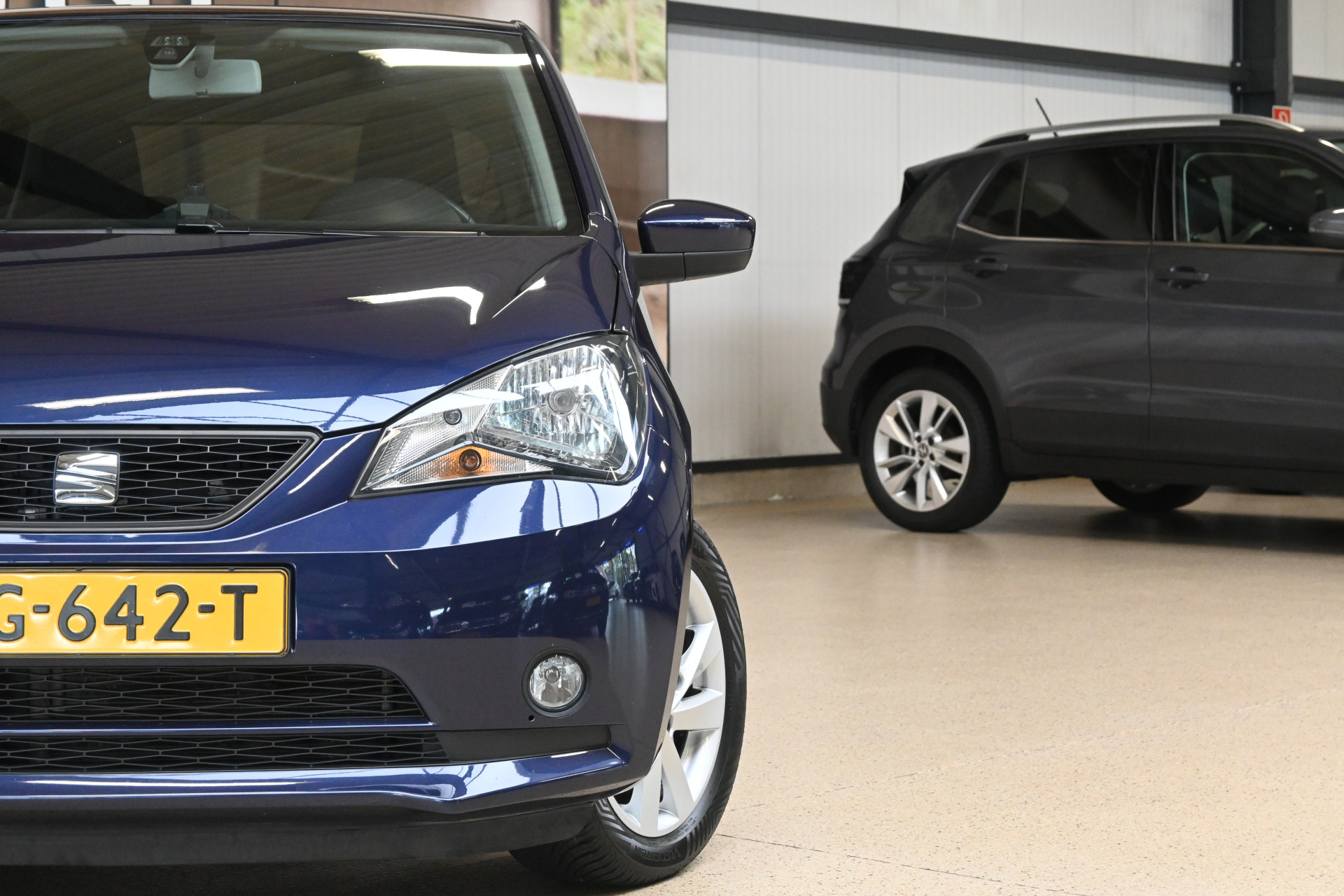 56479399-3.jpg