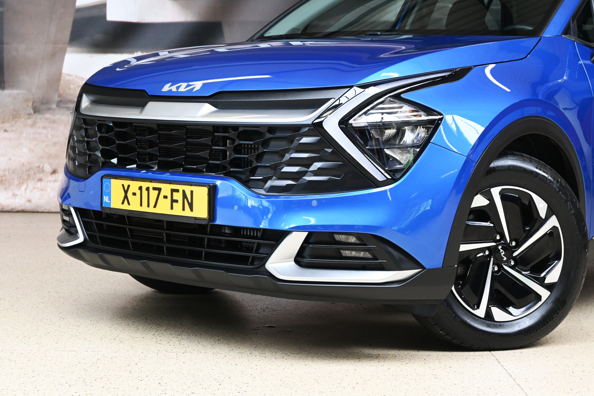 56482535-1.jpg